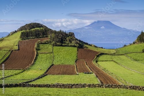 Portugal, Azores, Sao Jorge Island, Rosais of fields and the Pico Volcano photo