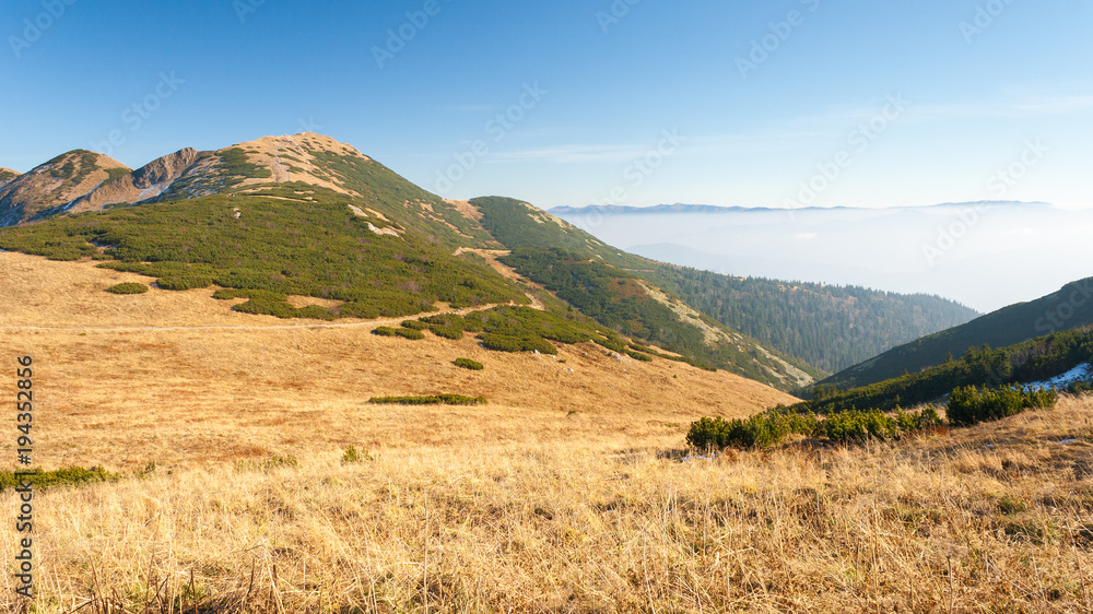 Obraz premium Mountain landscape in the Vratna valley at the national park Mala Fatra, Slovakia, Europe.
