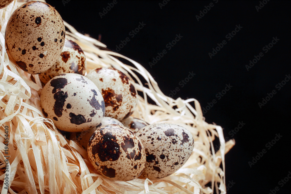 Quail eggs in the nest of straw. Quail eggs in the nest of straw.