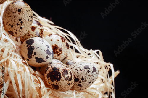 Quail eggs in the nest of straw.