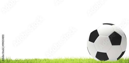 white soccer ball 3d rendering at green grass lawn meadow blades of grass