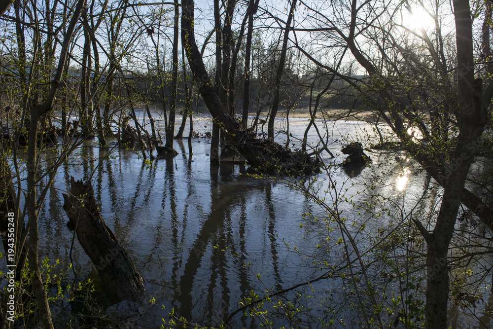 Reflection on calmed river