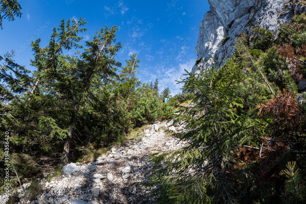 Mountain Mountain