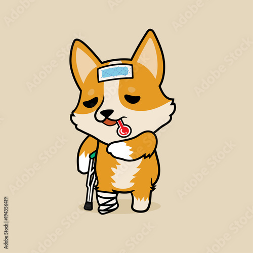 Cute cartoon character design Pembroke Welsh Corgi dog get sick and broken leg. use cooling fever patch on forehead