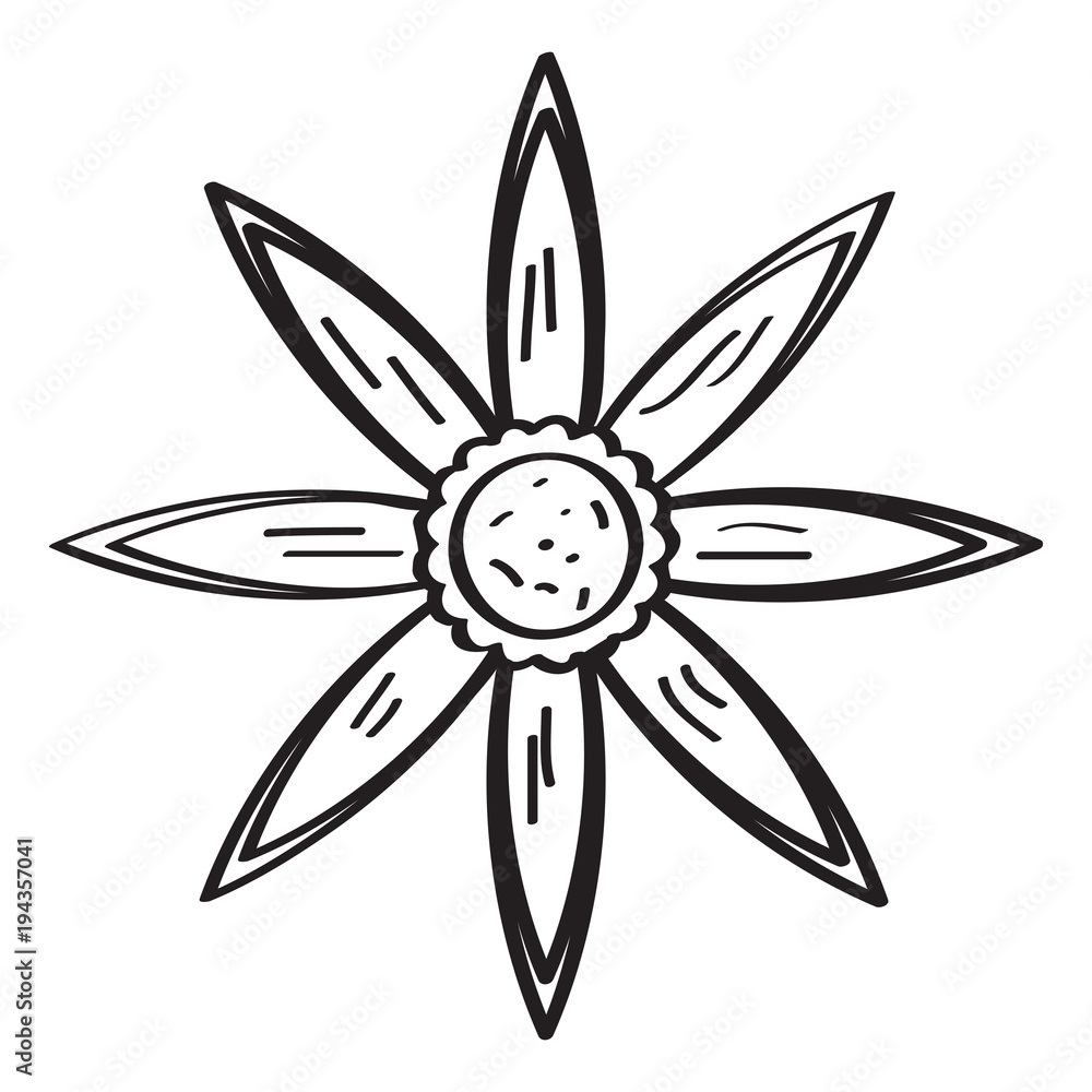 Drawing of a flower Drawing of a flower