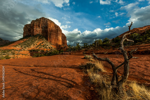 Sedona Landscape with rustic branch and shadow