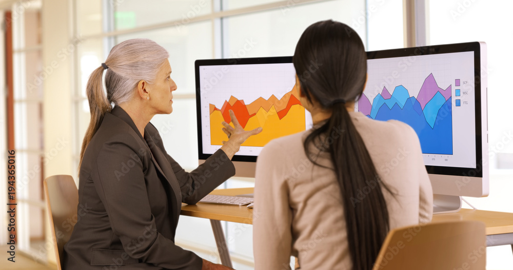 Two office professionals talk about their company's statistics. Businesswomen talk about their work Two office professionals talk about their company's statistics. Businesswomen talk about their work