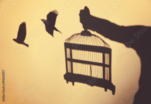 surreal concept being set free with birds flying out of a cage held by a person as shadows on a wall toned with a retro vintage instagram filter photo