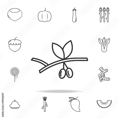 Olive icon. Set of fruits and vegetables icon. Premium quality graphic design. Signs, outline symbols collection, simple thin line icon for websites, web design, mobile app