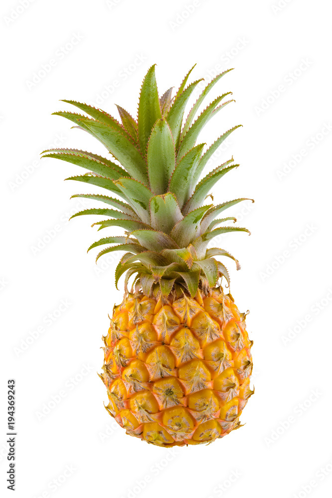 Fototapeta premium pineapple isolated on white background