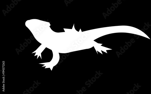 white bearded dragon silhouette on black background