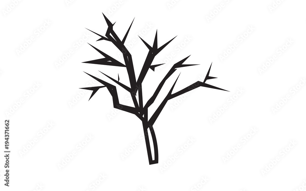 Fototapeta premium mesquite tree silhouette outline on white background