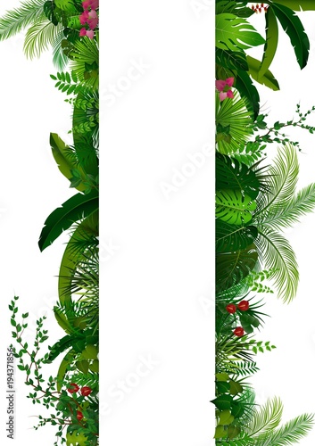 Tropical leaves background. Rectangle plants frame with space for text. Tropical foliage with vertical banner