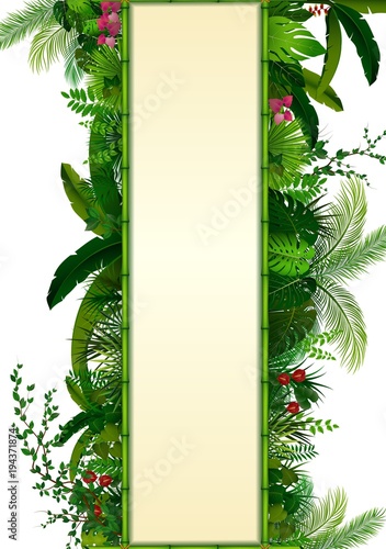 Tropical leaves background. Rectangle plants frame bamboo with space for text. Tropical foliage with vertical banner