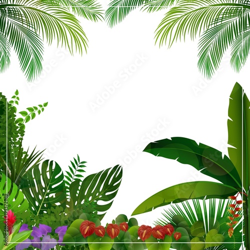 Tropical jungle on white background 