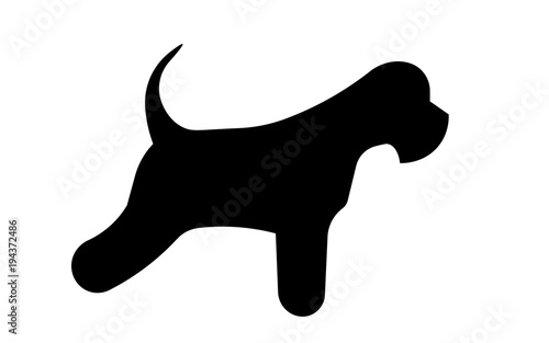 on whitaminiature schnauzer silhouette on white backgrounde background