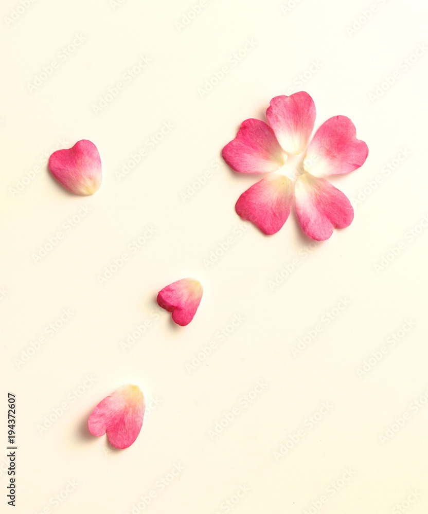 ハート型の可愛いバラの花びら ハート型の可愛いバラの花びら