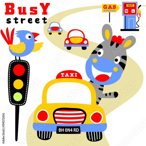 Busy road cartoon with cars, zebra, bird