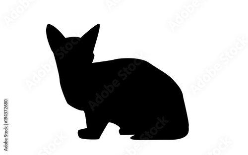 sphynx cat silhouette on white background