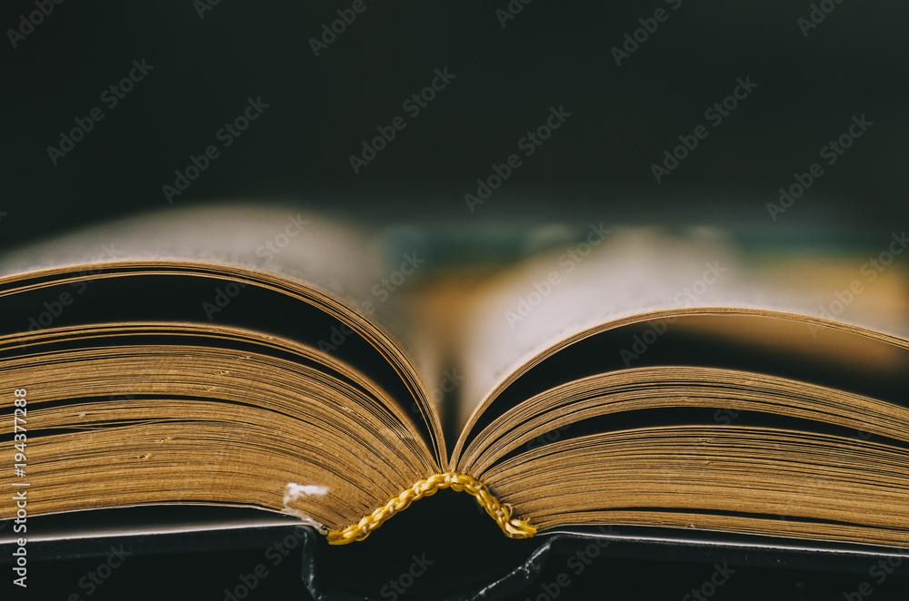 Book From Library Book From Library