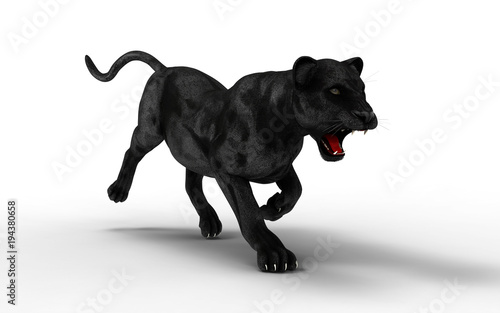 Black panther isolate on white background, Black tiger, 3d Illustration, 3d render photo