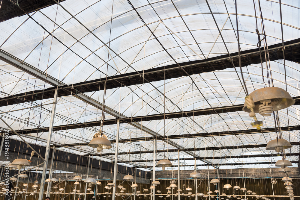 Lighting and watering system in a big greenhouse. Lighting and watering system in a big greenhouse.