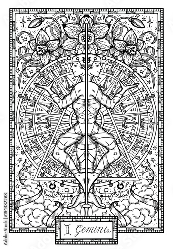 Zodiac sign Twins or Gemini with narcissus flower and lucky numbers. Hand drawn fantasy graphic vector illustration in frame. Black and white doodle mystic drawing with engraved horoscope symbol