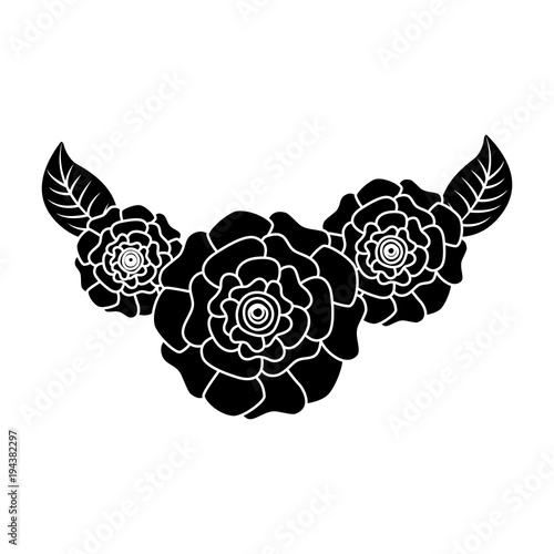 cute fresh natural flowers carnation leaves vector illustration pictogram design