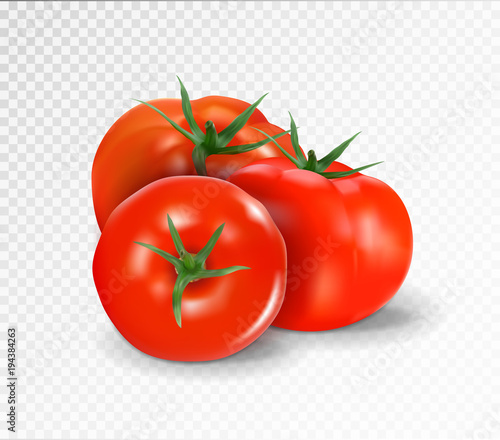 Group of three realistic tomatoes isolated on a transparent background. Vector illustration..
