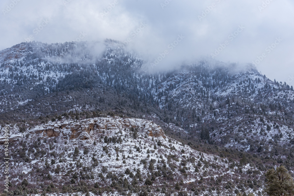 Snow forest landscape with fog