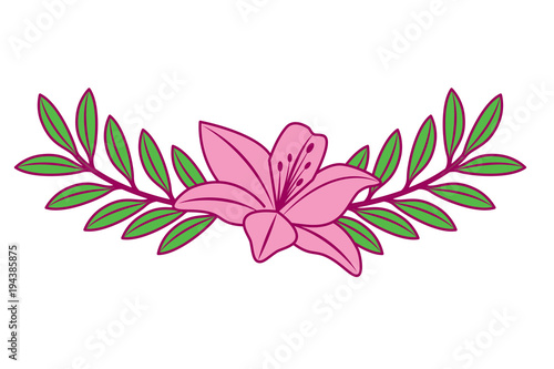 cute flower lily and branch with leaves foliage decoration vector illustration pink and green image