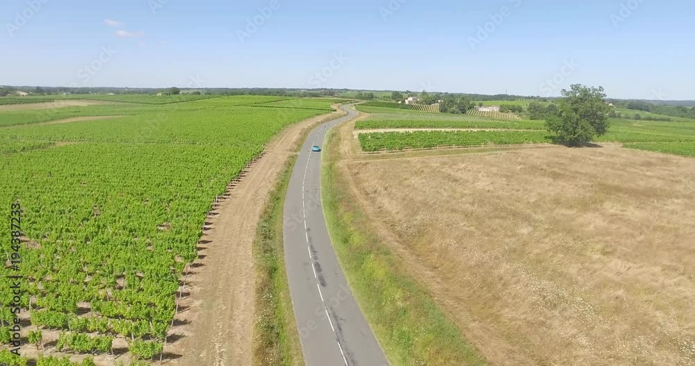 Aerial long shot of car traveling through a vast vineyard landscape in France Aerial long shot of car traveling through a vast vineyard landscape in France