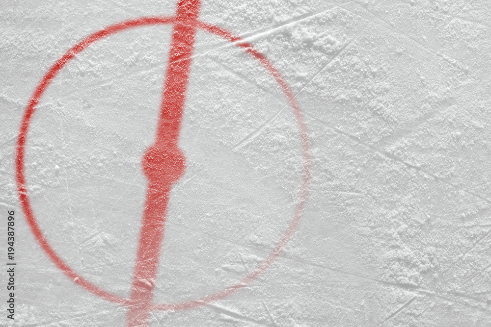 Obraz premium Fragment of the hockey arena with a central circle