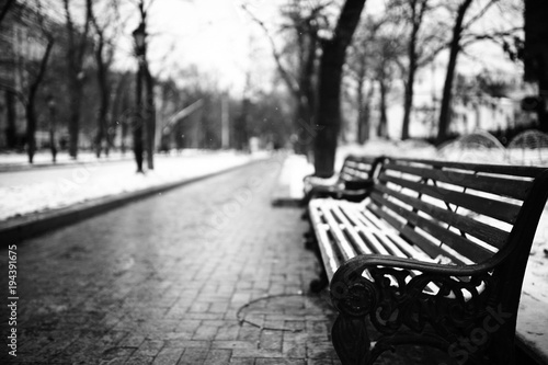 bench in a cold winter park snow