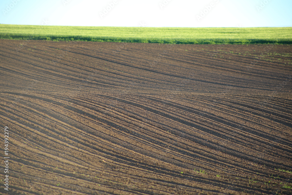  plowed field. Agrarian geometry.Arable land and field with green wheat. Green field, brown arable land.Agrarian background 
