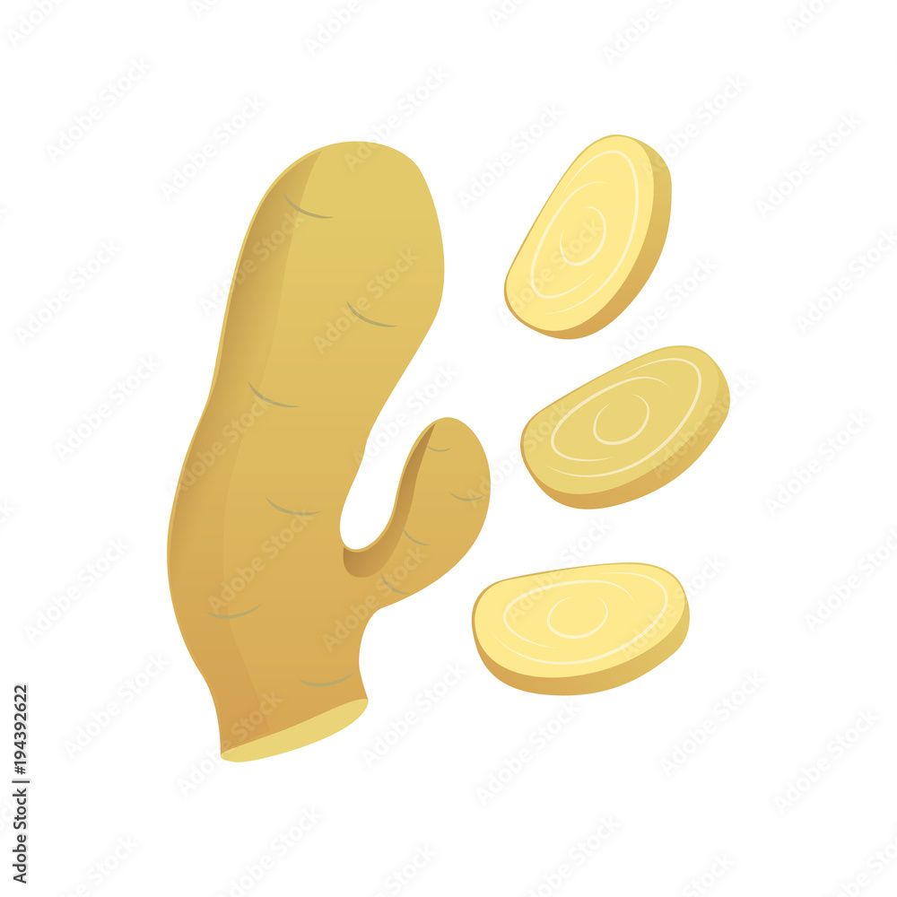 Ginger, natural remedy for cold treatment vector Illustration on a white background Ginger, natural remedy for cold treatment vector Illustration on a white background