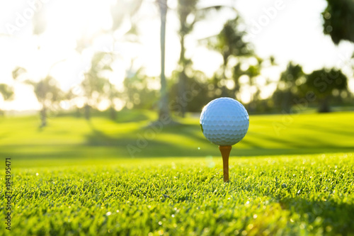 Golf ball on tee on golf course over a blurred green field at the sunset photo