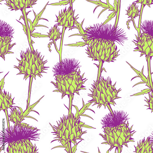 Seamless pattern with onopordum acanthium. Scottish thistle