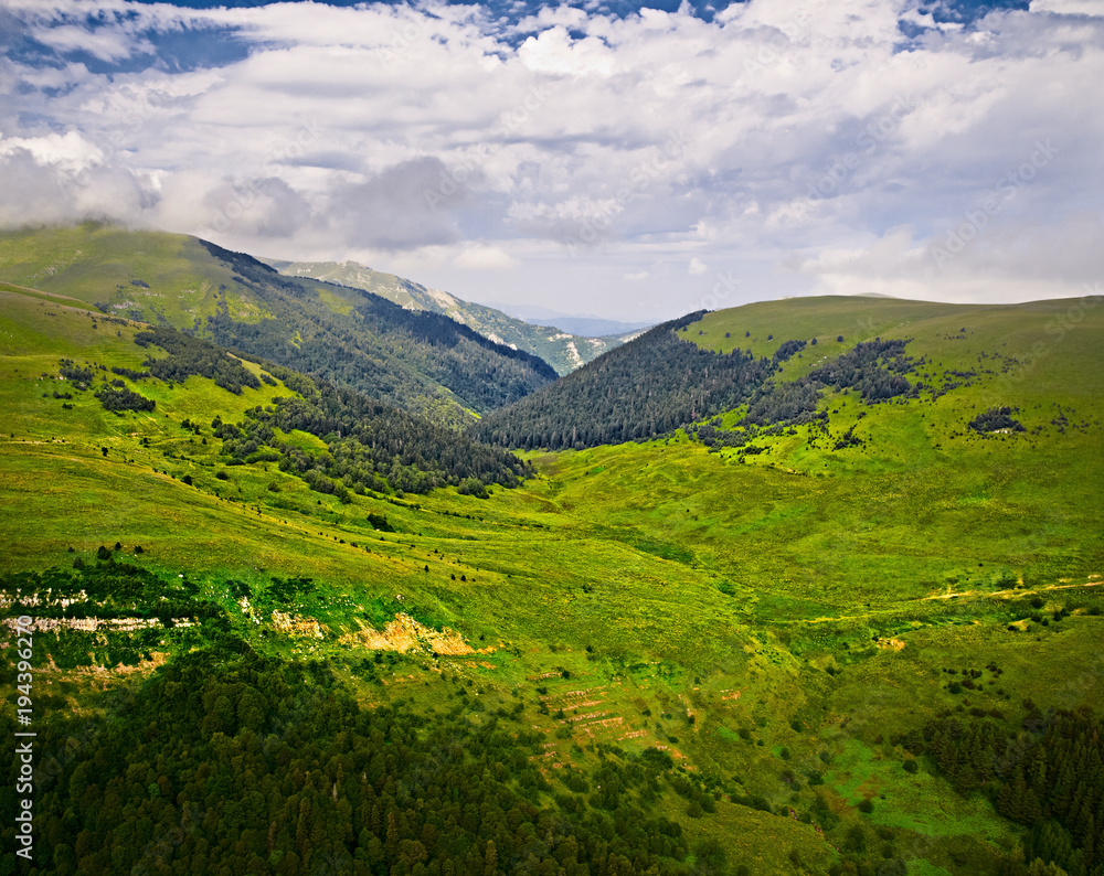 Obraz premium Aerial view of green hills. Summer landscape. Green grassy meadow on a hillside on top of mountain ridge with some forest under cloudy blue sky. Adygea, Lago-naki, Lagonaki, Krasnodar, Russia.