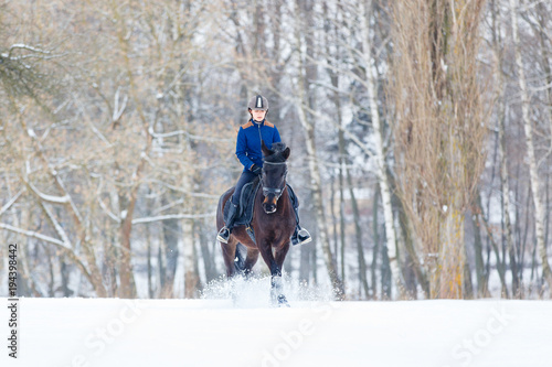 Young rider girl on bay horse walking on snowy field in winter. Winter equestrian activity background