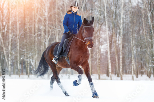 Young rider girl on bay horse walking on snowy field in winter. Winter equestrian activity background