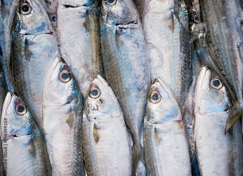 Obraz premium Mackerel fish on market table for sell