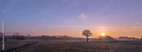 The silouette of a tree without leaves in the twilight and in front of a scenic background. Concept: weather or landscape