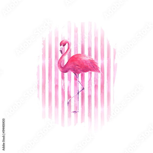Flamingo on watercolor pink...