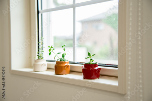窓際の観葉植物 Stock Photo Adobe Stock 窓際の観葉植物 Stock Photo Adobe Stock