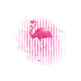 Flamingo on watercolor pink striped background