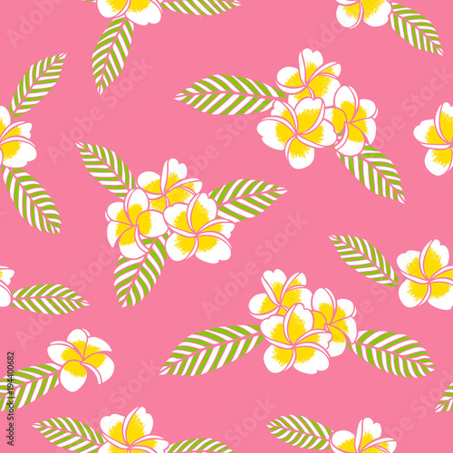 Summer floral pattern vector seamless. White frangipani flowers on pink background. Design for tropical fabric, hawaiian textile, exotic wallpaper or paper.