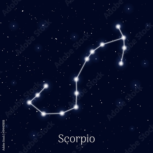 Sign zodiac scorpio, night sky background, realistic. Astrological symbol of materialism, mysticism and humanism. Vector illustration of ancient sacral image