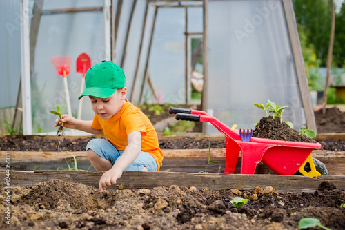 Child in the garden photo