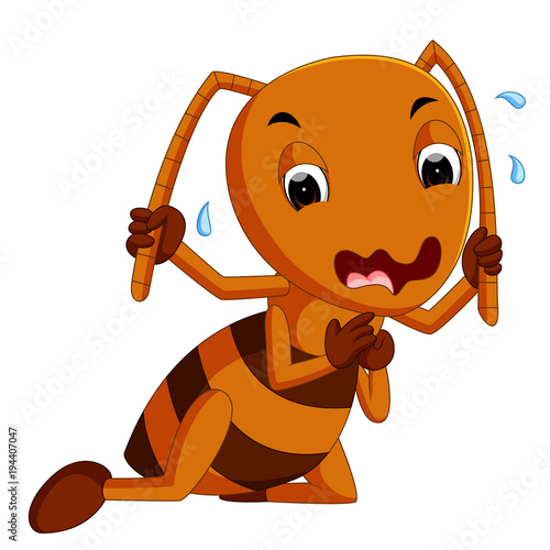 cute brown ant crying